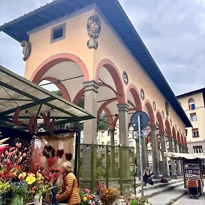 Medusa Guest house